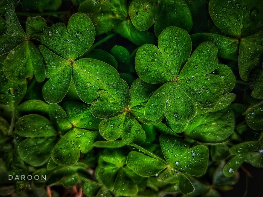 Photographer's Love For Nature Inspires Him To Captures Nature's Magical Moments