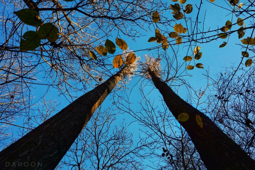 Photographer's Love For Nature Inspires Him To Captures Nature's Magical Moments