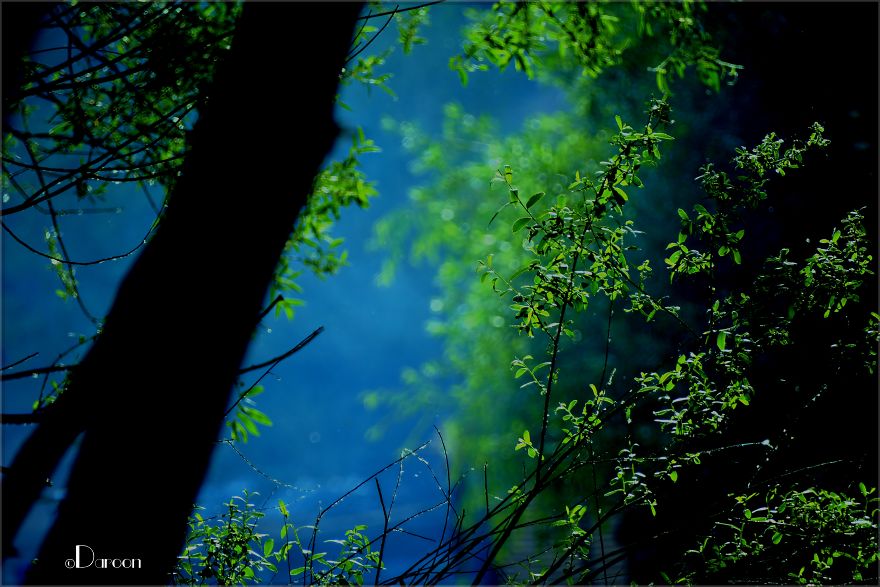 Photographer's Love For Nature Inspires Him To Captures Nature's Magical Moments