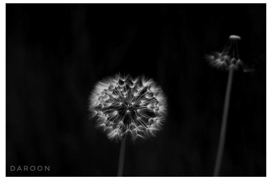 Photographer's Love For Nature Inspires Him To Captures Nature's Magical Moments