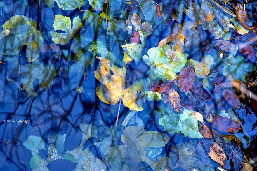 Photographer's Love For Nature Inspires Him To Captures Nature's Magical Moments