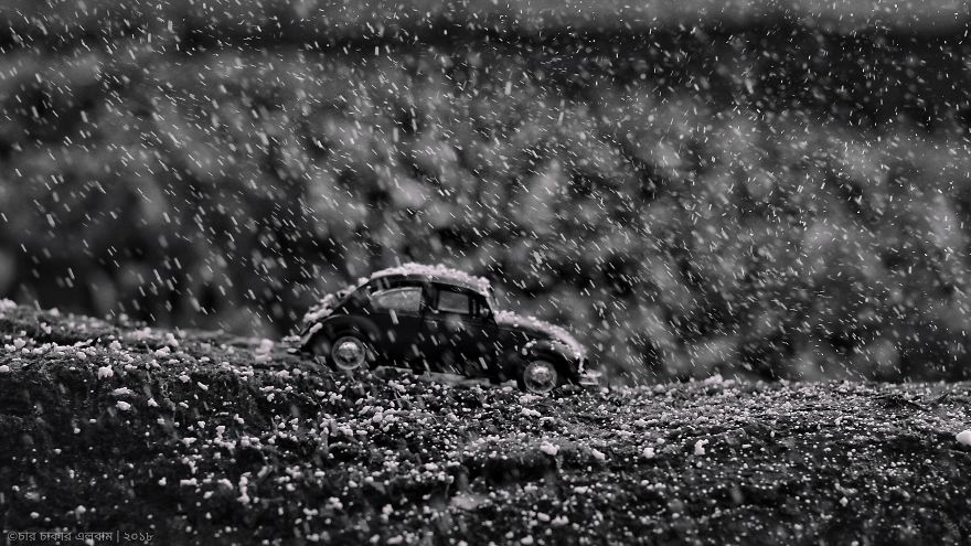 Love For The Bug!(Volkswagen Beetle) Love For The Bug!(Volkswagen Beetle)