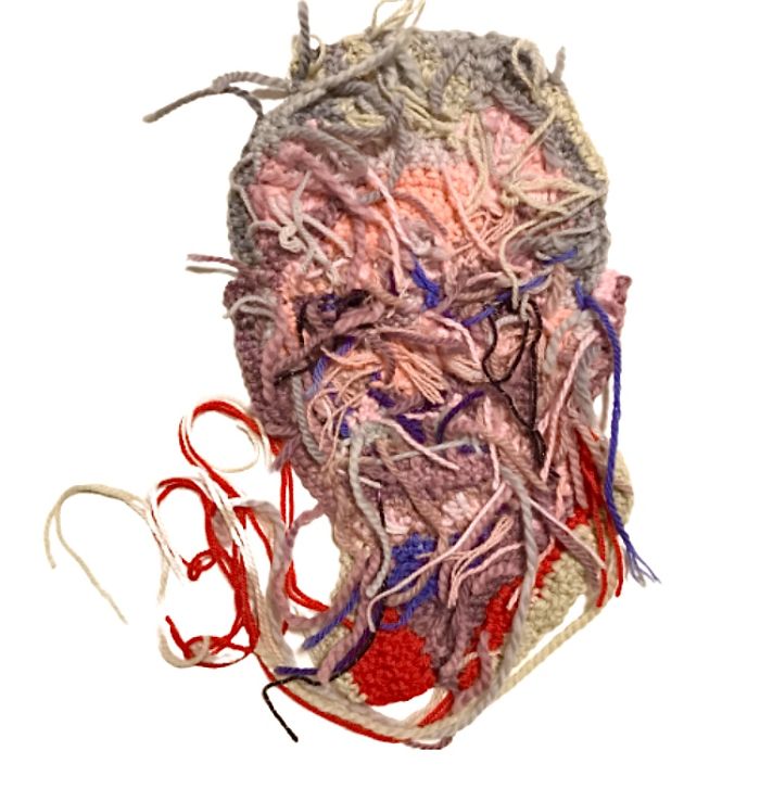 Documenting Quarantine With Crochet Portraits.