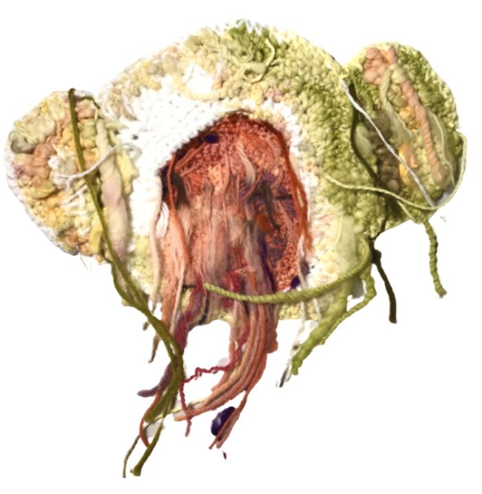 Documenting Quarantine With Crochet Portraits.