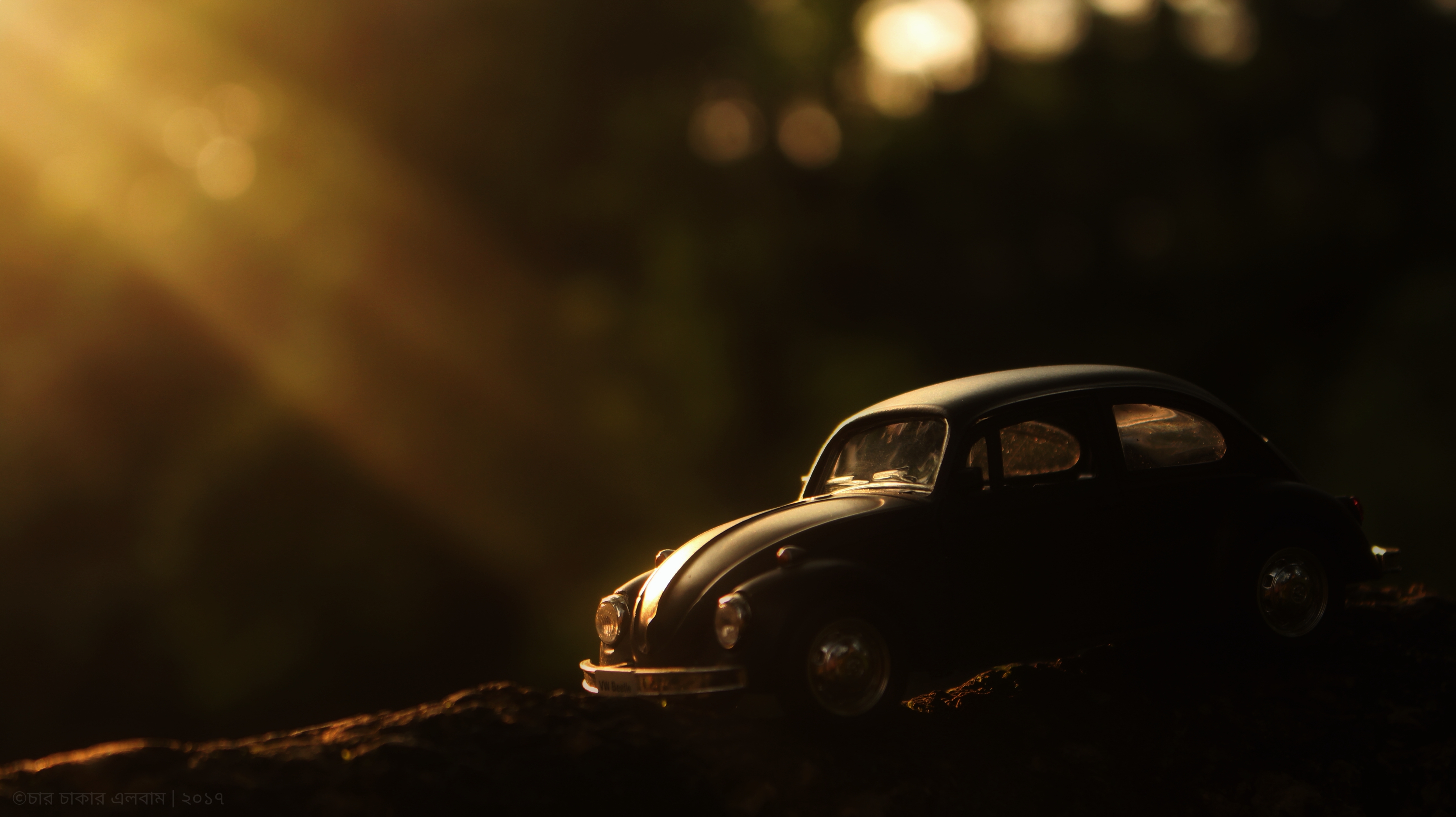 Love For The Bug!(Volkswagen Beetle)