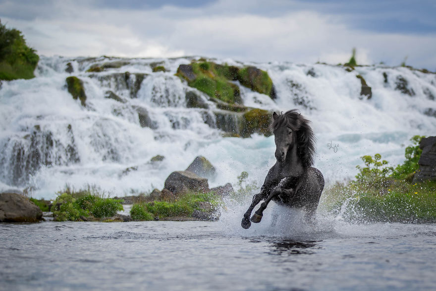 I Photograph Horses In The Breathtaking Icelandic Landscape