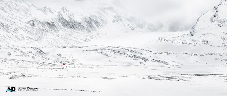 Isolation In Nature (Reflecting Our Lives Today)