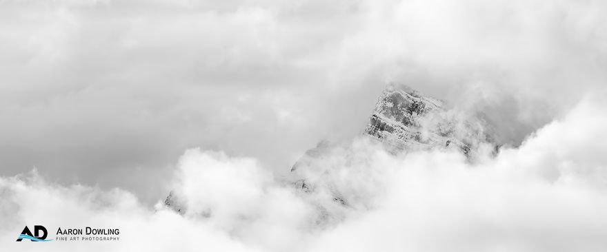 Isolation In Nature (Reflecting Our Lives Today) Isolation In Nature (Reflecting Our Lives Today)