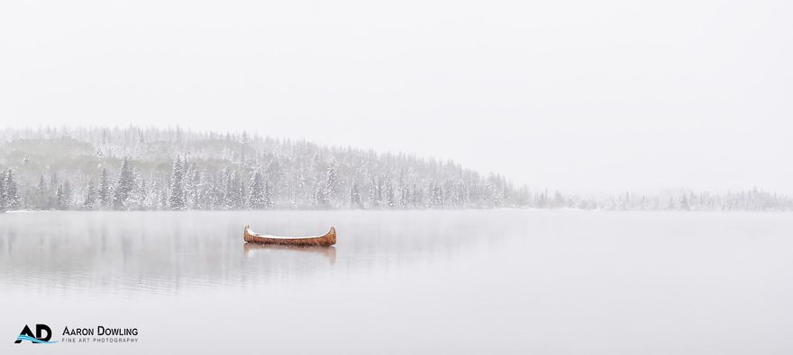 Isolation In Nature (Reflecting Our Lives Today) Isolation In Nature (Reflecting Our Lives Today)