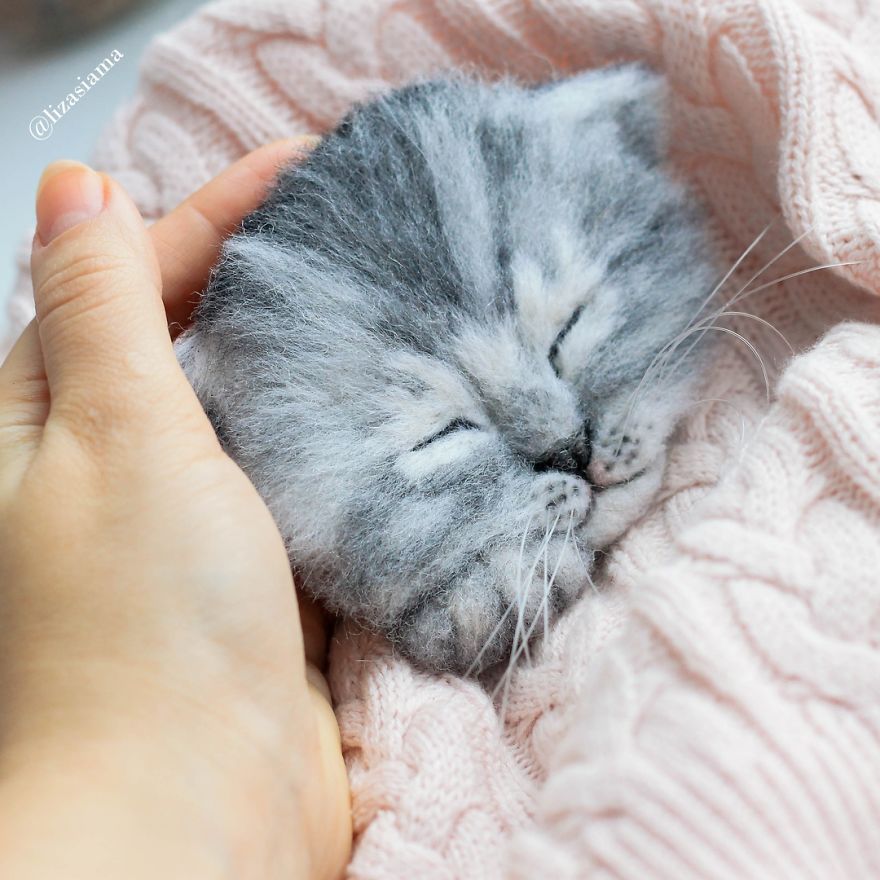 Russian Artist Produces Kittens Made Of Wool So Cute You Will Want One