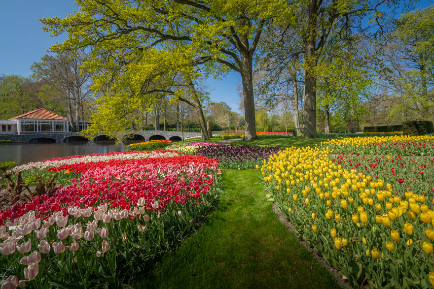 The Most Beautiful Flower Garden In The World Has No Visitors For The First Time In 71 Years And I Got To Capture It (31 Pics) The Most Beautiful Flower Garden In The World Has No Visitors For The First Time In 71 Years And I Got To Capture It (31 Pics)