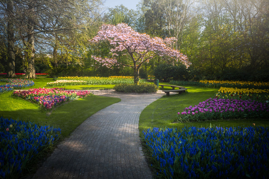 The Most Beautiful Flower Garden In The World Has No Visitors For The First Time In 71 Years And I Got To Capture It (31 Pics) The Most Beautiful Flower Garden In The World Has No Visitors For The First Time In 71 Years And I Got To Capture It (31 Pics)