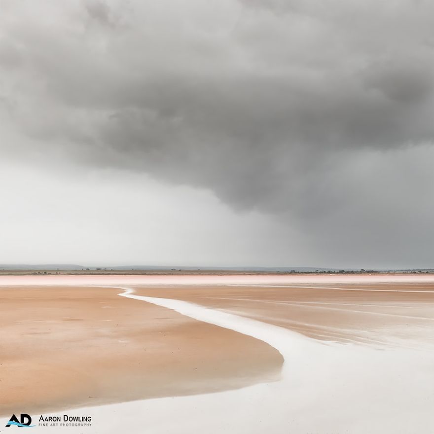 Isolation In Nature (Reflecting Our Lives Today)