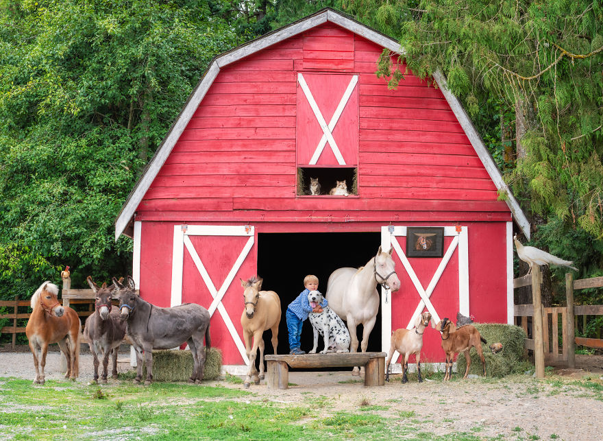 I Photograph Full Farm Portraits! I Photograph Full Farm Portraits!