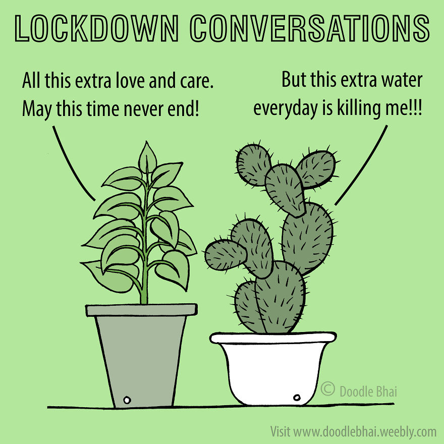 Ordinary Plant And Cactus