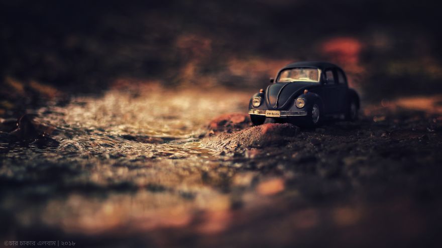 Love For The Bug!(Volkswagen Beetle) Love For The Bug!(Volkswagen Beetle)