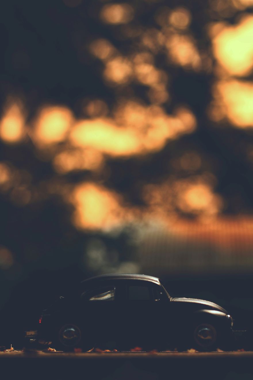 Love For The Bug!(Volkswagen Beetle) Love For The Bug!(Volkswagen Beetle)