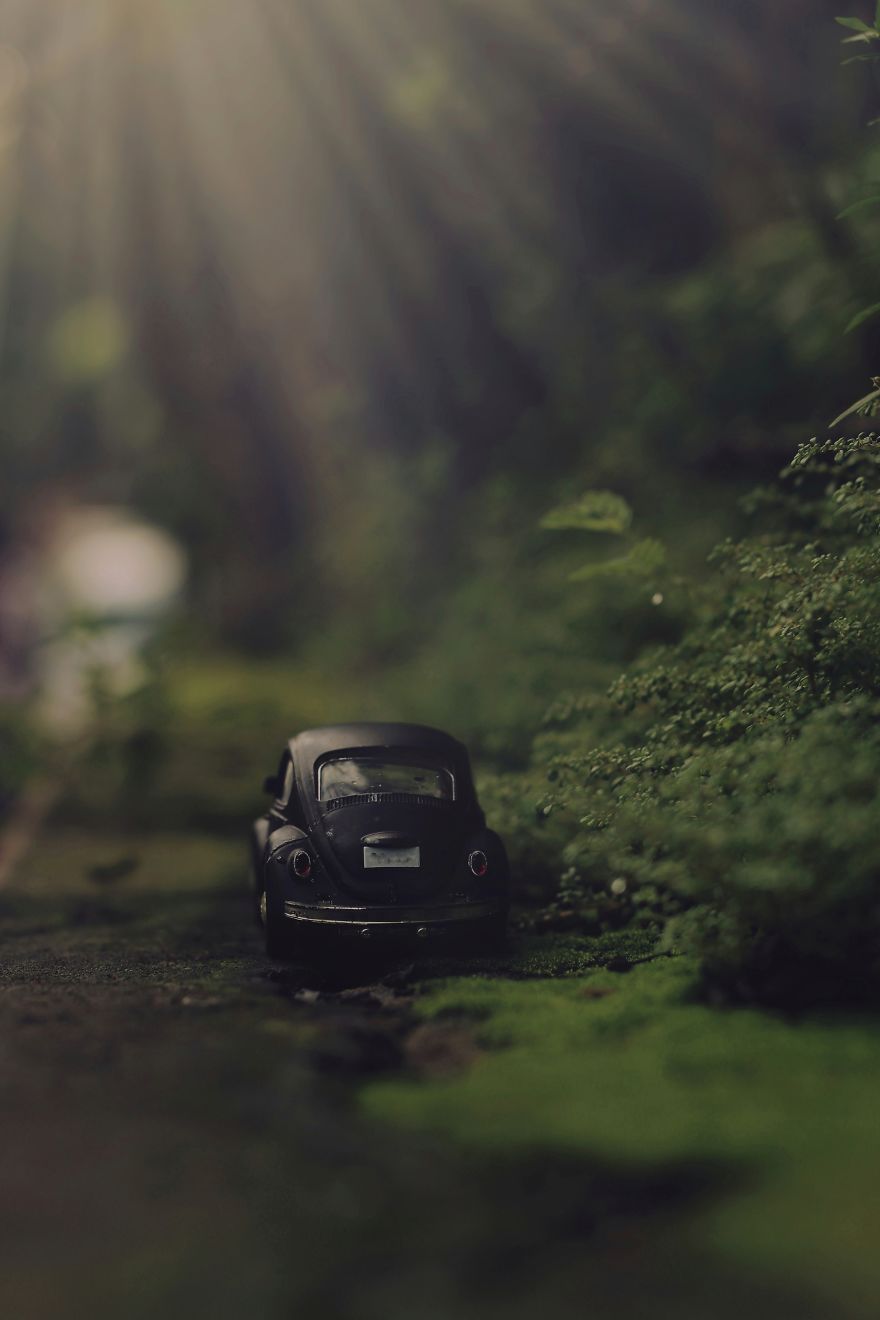 Love For The Bug!(Volkswagen Beetle) Love For The Bug!(Volkswagen Beetle)