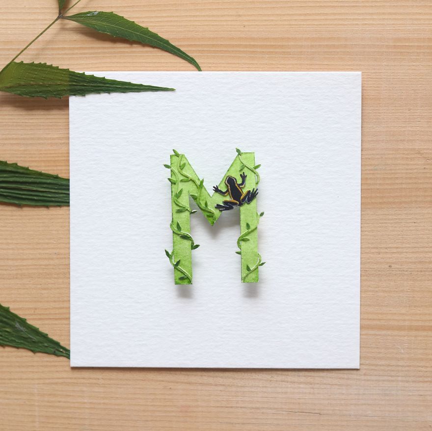 We Made An Alphabet Out Of Endangered Wildlife Species (34 Pics)