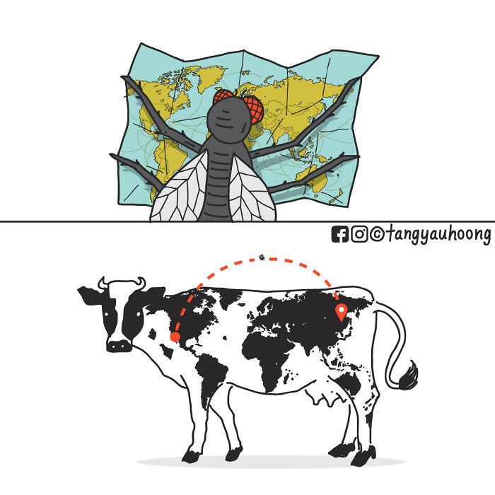 Fly looking at a world map and a cow with continents on its body in a comic with weird and unexpected endings.