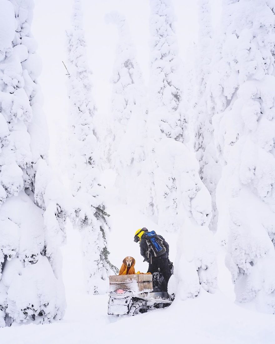 More Than 1 Million Followers Are Enchanted By The Beautiful Friendship Of This Rescued Dog With Its Owner On Instagram