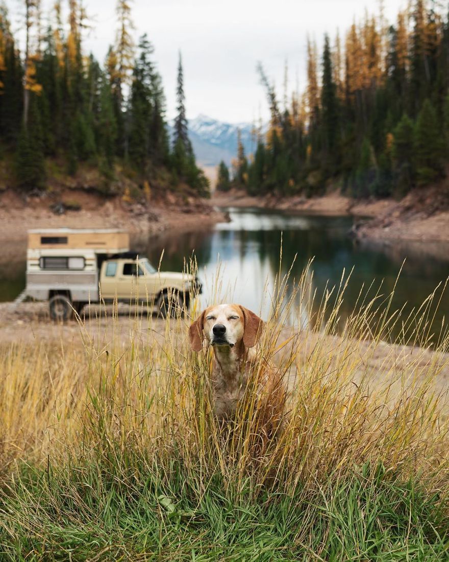 More Than 1 Million Followers Are Enchanted By The Beautiful Friendship Of This Rescued Dog With Its Owner On Instagram