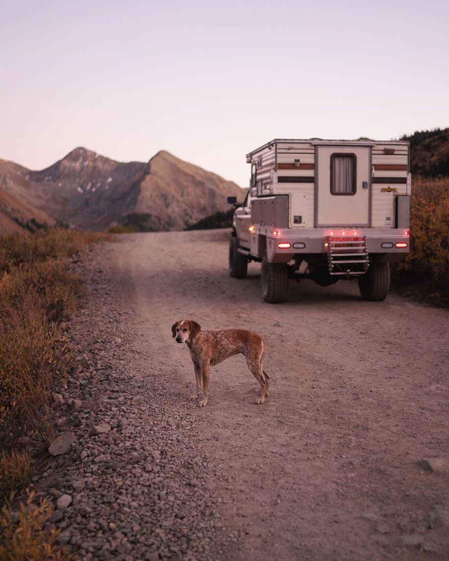 More Than 1 Million Followers Are Enchanted By The Beautiful Friendship Of This Rescued Dog With Its Owner On Instagram