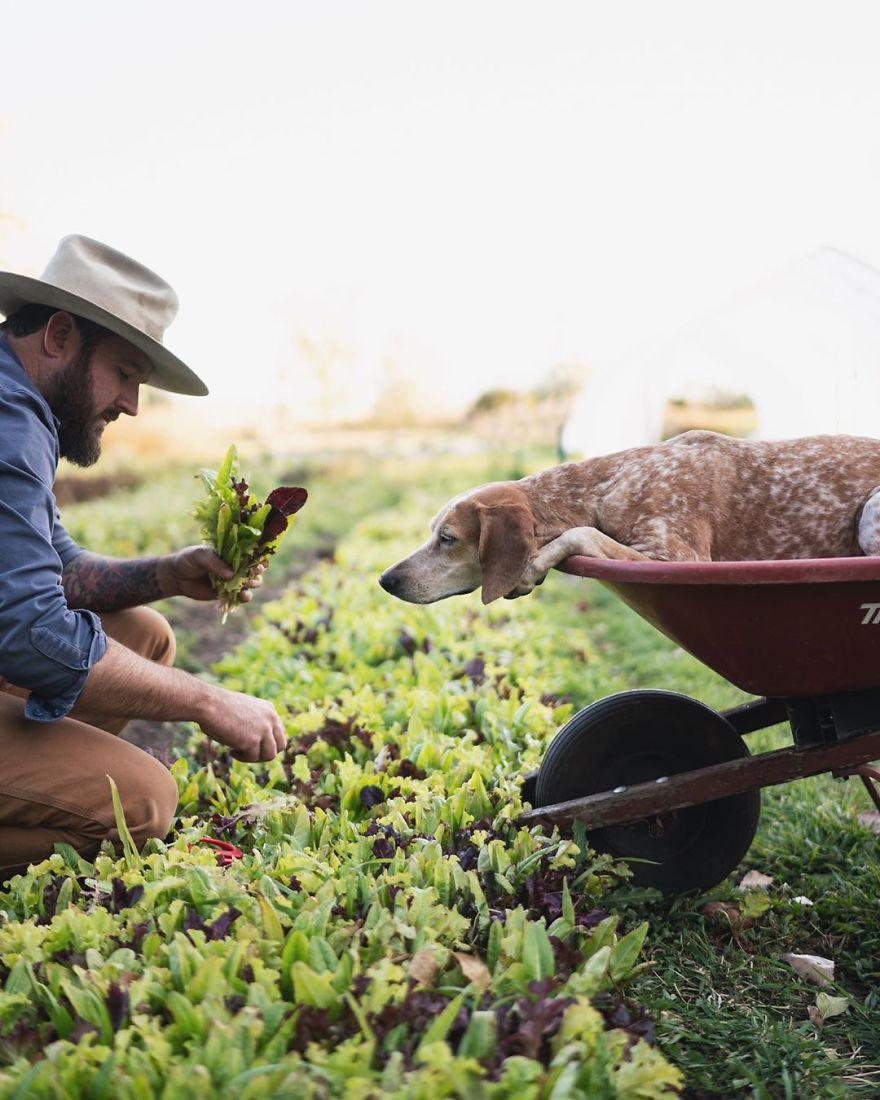 More Than 1 Million Followers Are Enchanted By The Beautiful Friendship Of This Rescued Dog With Its Owner On Instagram