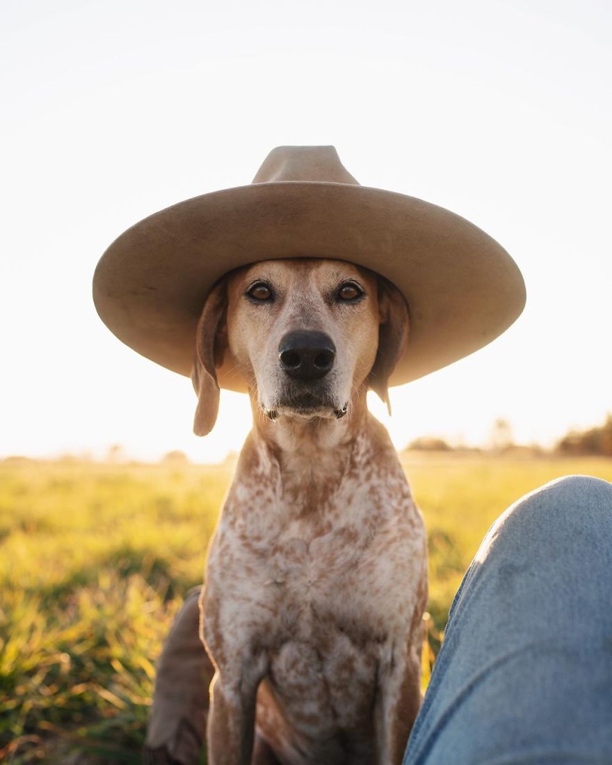 More Than 1 Million Followers Are Enchanted By The Beautiful Friendship Of This Rescued Dog With Its Owner On Instagram