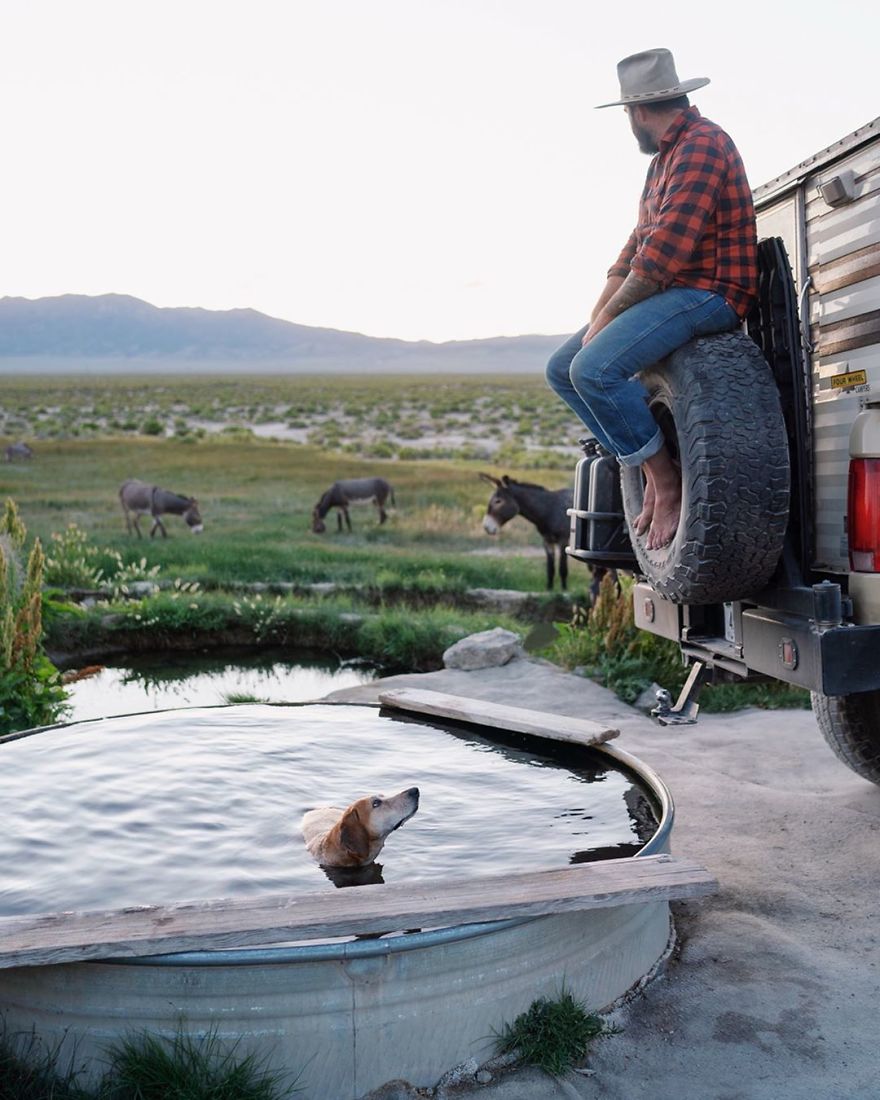 More Than 1 Million Followers Are Enchanted By The Beautiful Friendship Of This Rescued Dog With Its Owner On Instagram