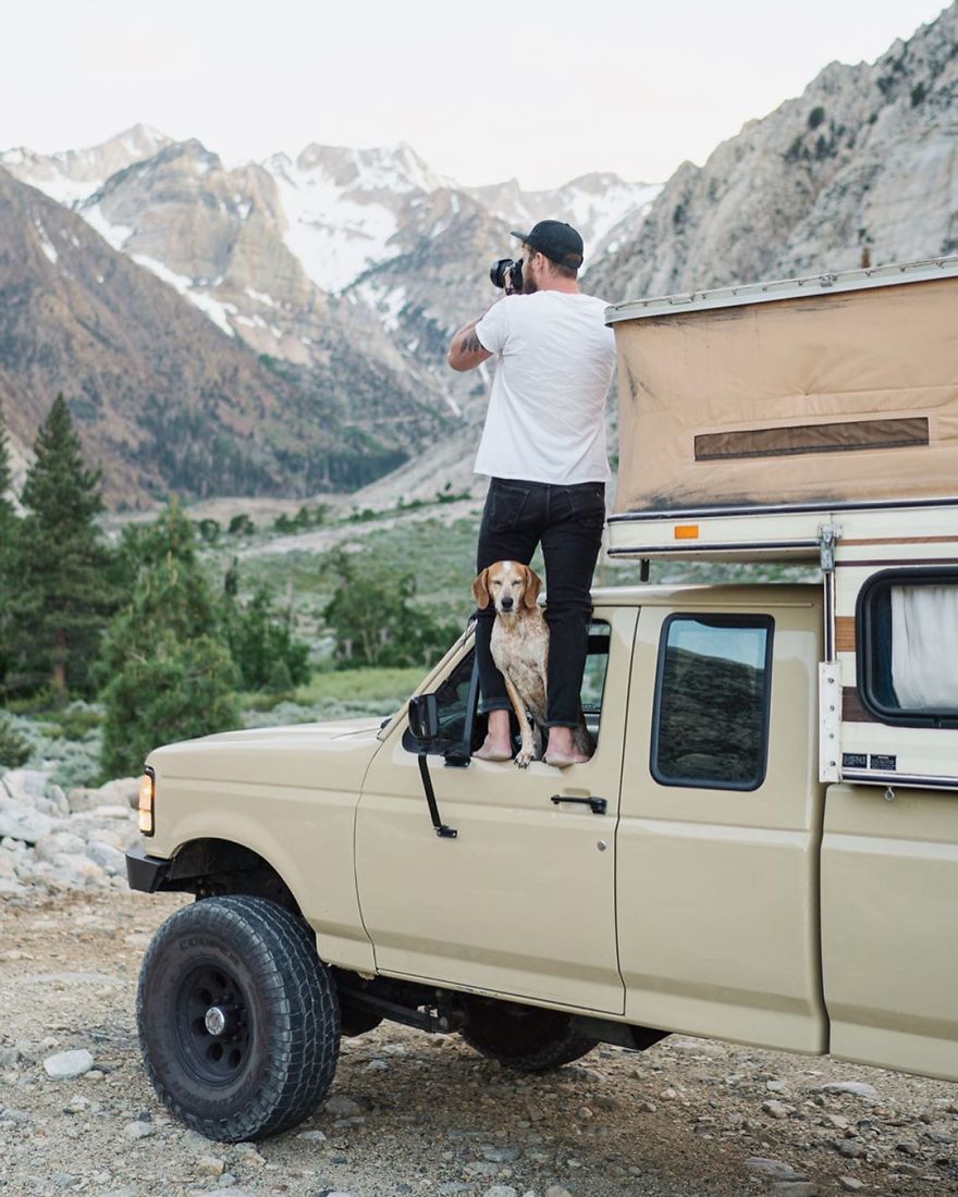 More Than 1 Million Followers Are Enchanted By The Beautiful Friendship Of This Rescued Dog With Its Owner On Instagram