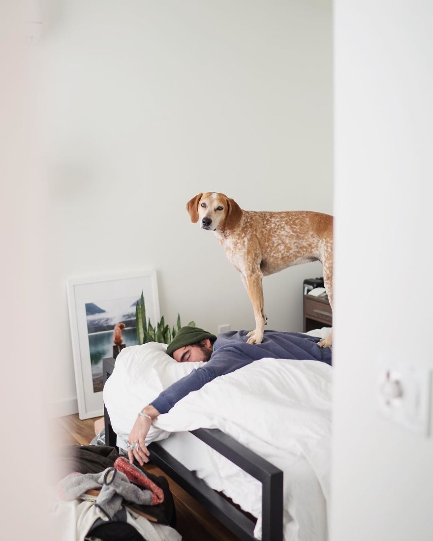 More Than 1 Million Followers Are Enchanted By The Beautiful Friendship Of This Rescued Dog With Its Owner On Instagram