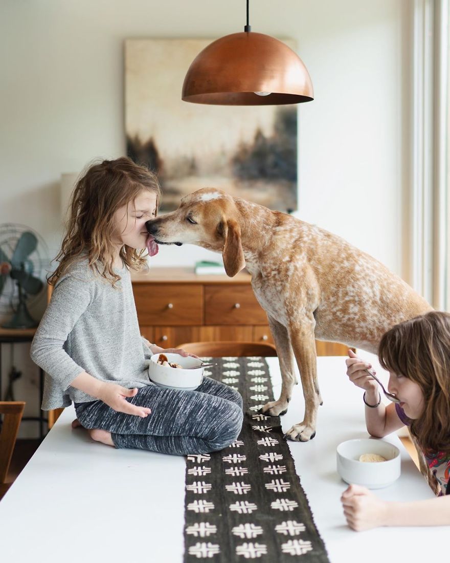 More Than 1 Million Followers Are Enchanted By The Beautiful Friendship Of This Rescued Dog With Its Owner On Instagram