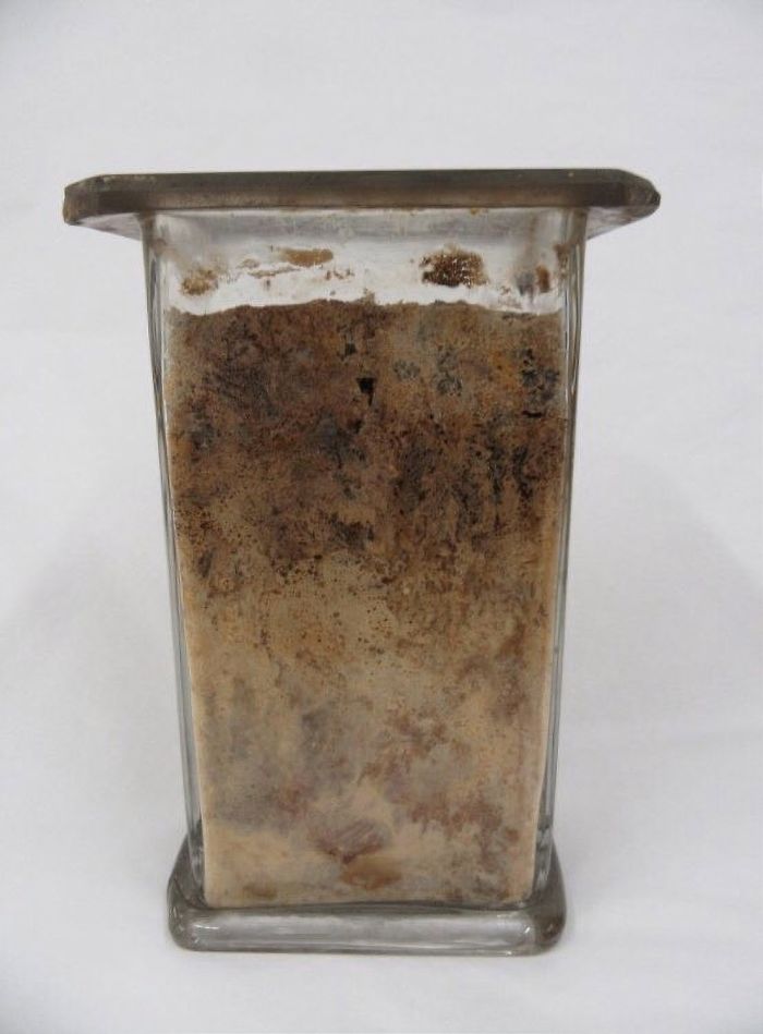 Vessel Filled With Meat