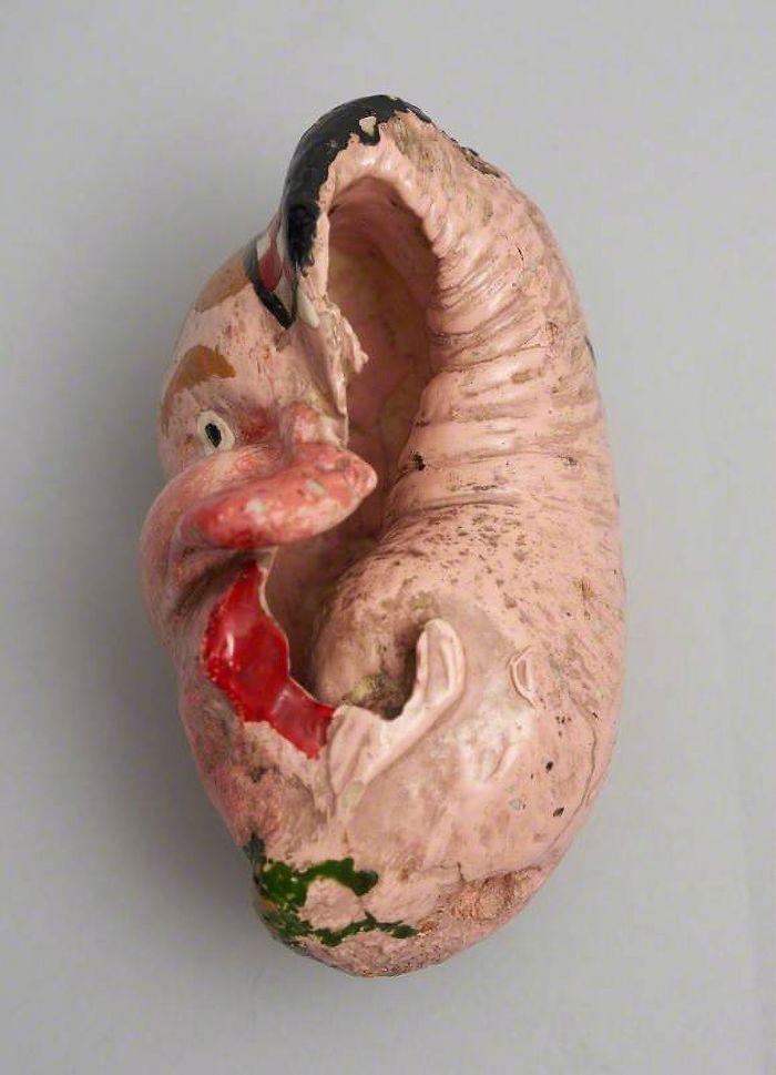 Painted Whale Eardrum