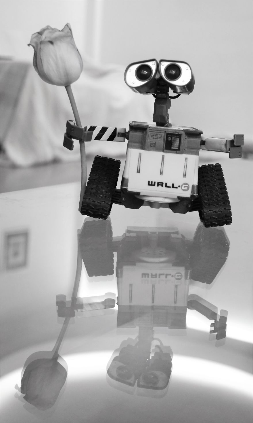 My Camera Is My Perfect Partner In Crime While Staying At Home. My Camera Is My Perfect Partner In Crime While Staying At Home.