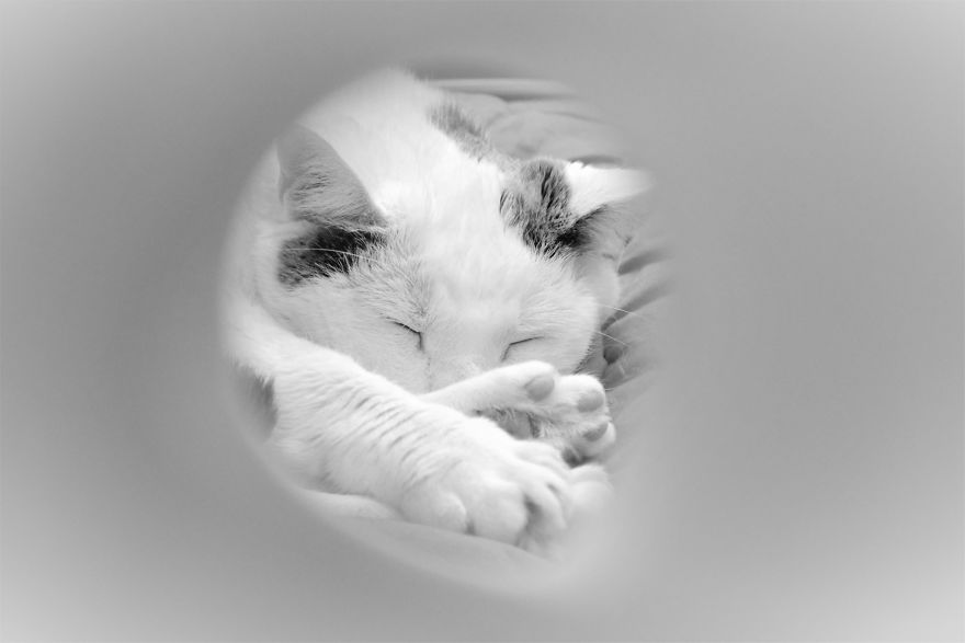 My Camera Is My Perfect Partner In Crime While Staying At Home. My Camera Is My Perfect Partner In Crime While Staying At Home.