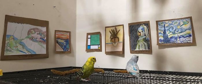 My Friend Created A Tiny Art Gallery For Her 7 Budgies