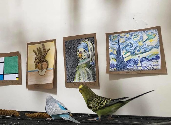 My Friend Created A Tiny Art Gallery For Her 7 Budgies My Friend Created A Tiny Art Gallery For Her 7 Budgies
