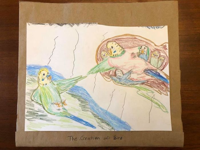 My Friend Created A Tiny Art Gallery For Her 7 Budgies My Friend Created A Tiny Art Gallery For Her 7 Budgies