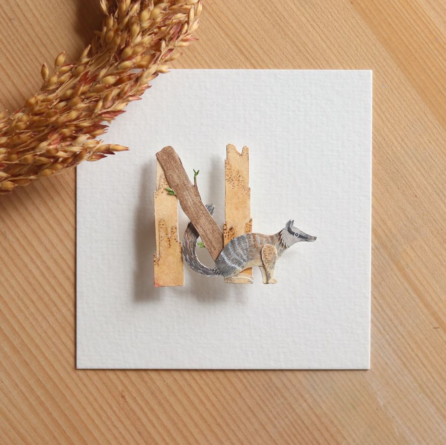 We Made An Alphabet Out Of Endangered Wildlife Species (34 Pics)