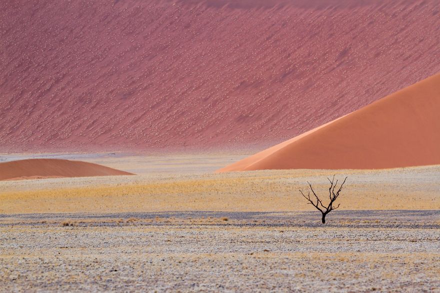 Namib Desert