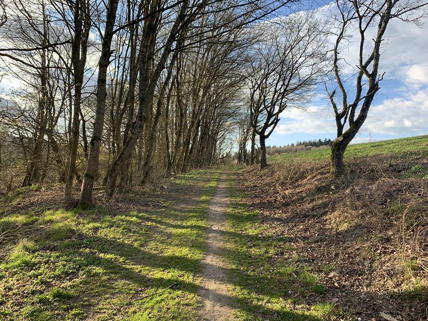 Some Random Nature Pics From The Last Few Days