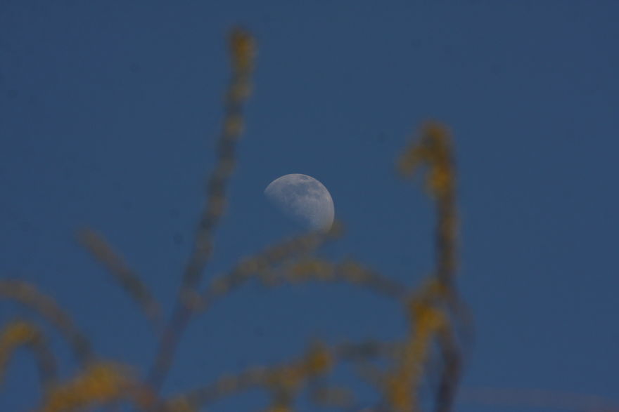 Some Random Nature Pics From The Last Few Days