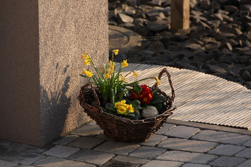 Some Random Nature Pics From The Last Few Days