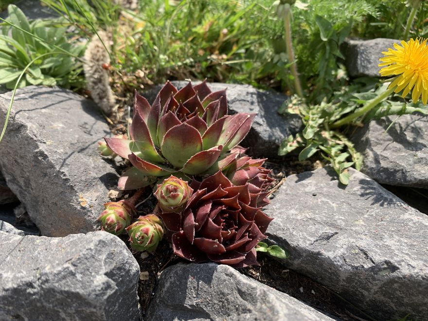 Some Random Nature Pics From The Last Few Days