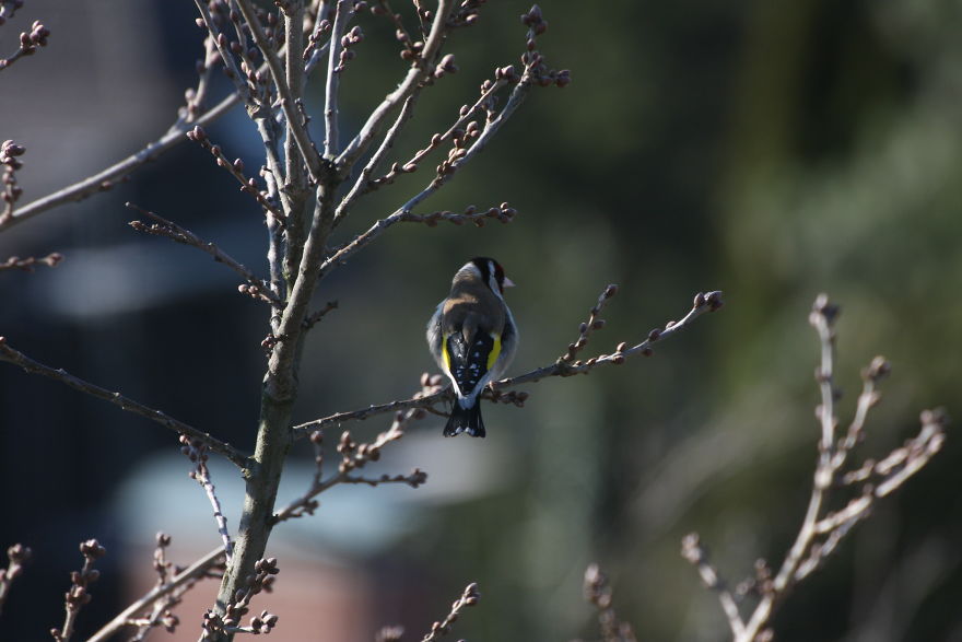 Some Random Nature Pics From The Last Few Days