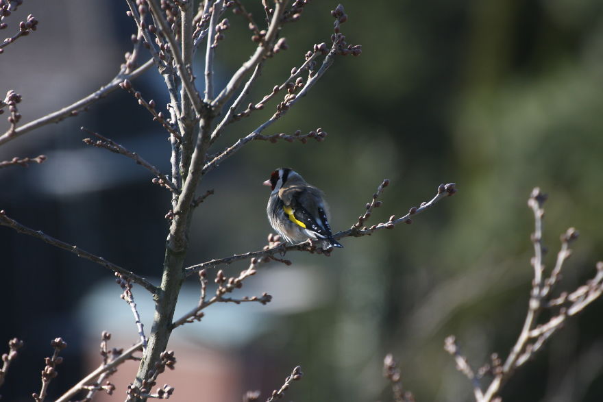 Some Random Nature Pics From The Last Few Days