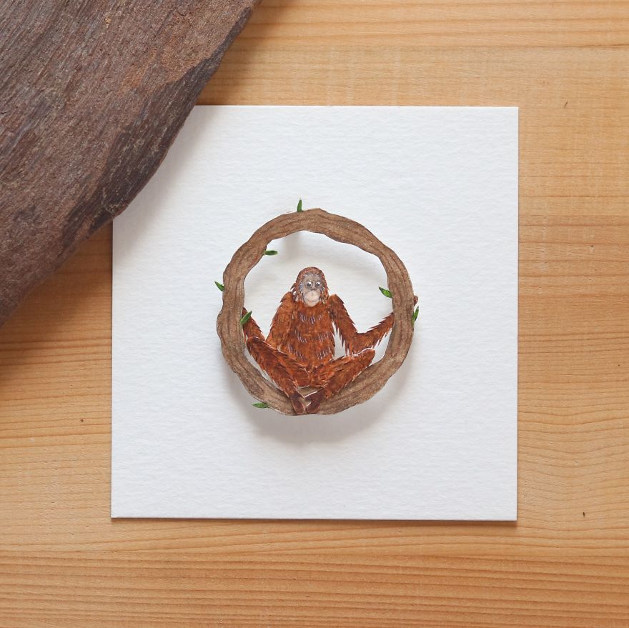 We Made An Alphabet Out Of Endangered Wildlife Species (34 Pics)