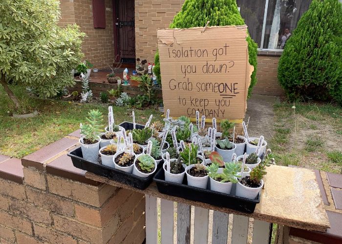 Coronavirus-Wholesome-Quarantine-Good-News